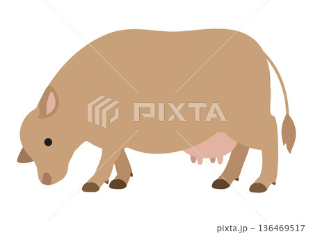 ジャージー牛 草を食べるポーズのかわいいベクターイラスト 136469517