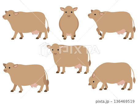 ジャージー牛のポーズセット/かわいい家畜のベクターイラスト素材(6ポーズ) 136469519