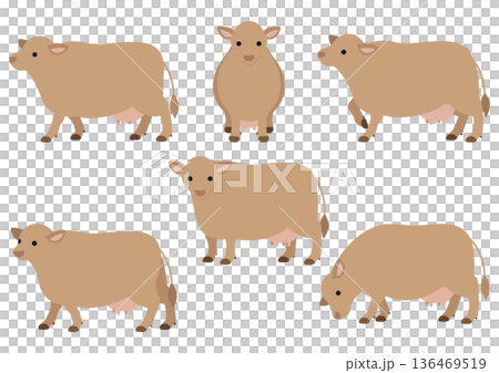 ジャージー牛のポーズセット/かわいい家畜のベクターイラスト素材(6ポーズ) 136469519