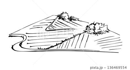 Rolling hills with patches of farmland on slopes, country road. Vintage style vector illustration hand drawn in ink for farm branding, winery websites, natural eco product labels, rustic food visuals. 136469554