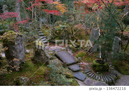石段の紅葉と落ち葉 136472218