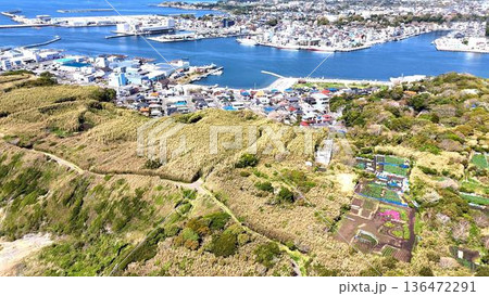 城ヶ島の高台に広がる緑地と眼下に広がる三崎港周辺の活気ある街並み│のどかな島の風景と漁港の様子 城ヶ島の高台に広がる緑地と眼下に広がる三崎港周辺の活気ある街並み│のどかな島の風景と漁港の様子 136472291