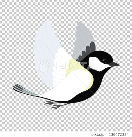 羽ばたく可愛いシジュウカラ 羽ばたく可愛いシジュウカラ 136472324