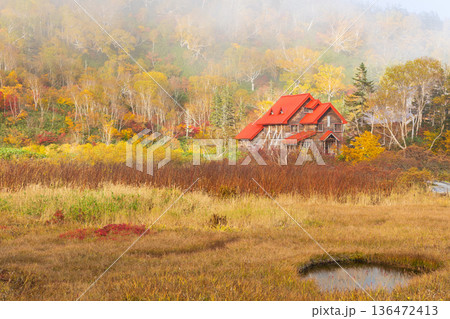 秋の長野県小谷村　紅葉の栂池高原　栂池自然園 136472413