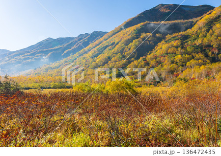 秋の長野県小谷村　紅葉の栂池高原　栂池自然園 136472435