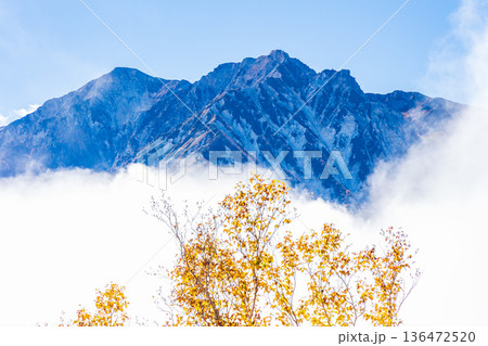 秋の長野県小谷村　紅葉の栂池高原　栂池自然園から杓子岳・白馬鑓ヶ岳を望む 136472520