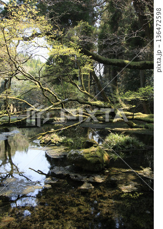 山吹水源 山吹水源 136472598