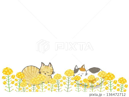 猫と菜の花のフレームイラスト 136472712