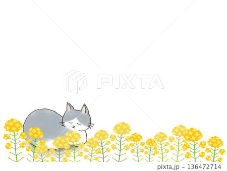 猫と菜の花のフレームイラスト 猫と菜の花のフレームイラスト 136472714