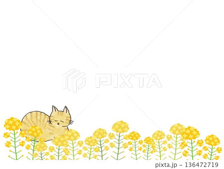 猫と菜の花のフレームイラスト 136472719