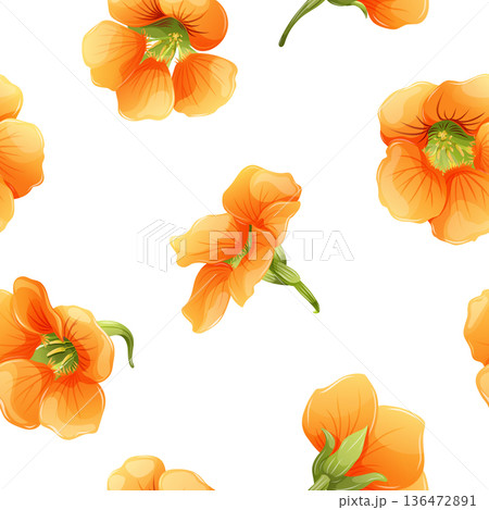 Seamless floral pattern with vibrant orange nasturtium flowers blooms on white background. Vector botanical illustration for textile, wallpaper, and wrapping paper design 136472891
