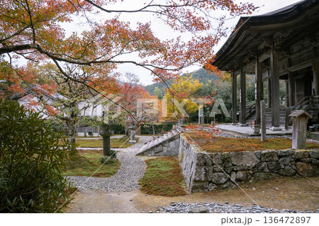 紅葉に包まれたお寺 136472897