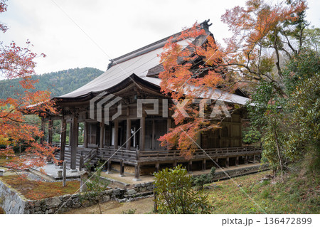 紅葉に包まれたお寺 紅葉に包まれたお寺 136472899