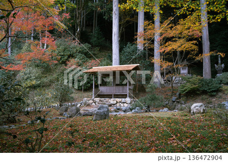 紅葉が美しい秋のお寺 136472904