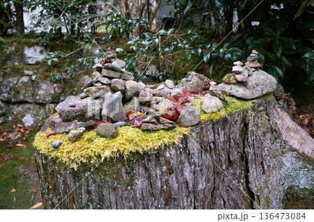 苔むした木の断面 苔むした木の断面 136473084