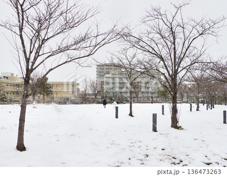 雪が積もった広尾防災公園・千葉県市川市 雪が積もった広尾防災公園・千葉県市川市 136473263