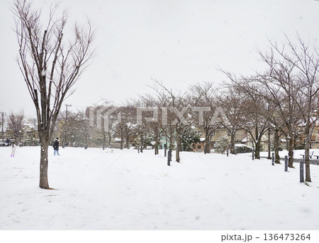 雪が積もった広尾防災公園・千葉県市川市 136473264