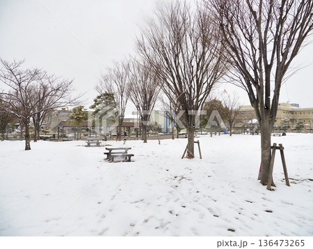 雪が積もった広尾防災公園・千葉県市川市 雪が積もった広尾防災公園・千葉県市川市 136473265