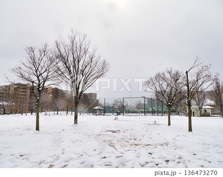 雪が積もった広尾防災公園・千葉県市川市 136473270