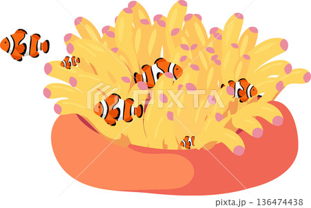 Clownfish Coral Reef Underwater Scene with Sea Anemone 136474438