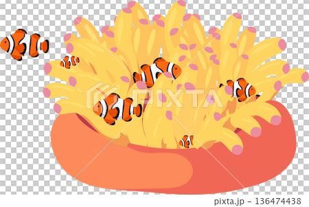 Clownfish Coral Reef Underwater Scene with Sea Anemone 136474438