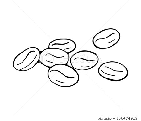 Hand Drawn Coffee Beans Minimal Line Art Cafe Illustration 136474919