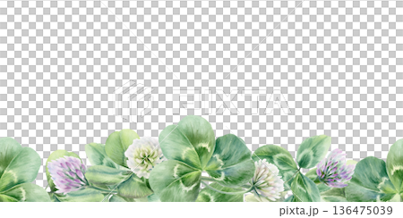 Seamless border of white and lilac clover flowers and leaves,symbolizing bloom,new life,and luck for newlyweds.Soft watercolor for wedding decor,invites,joyful seasonal festive Seamless border of white and lilac clover flowers and leaves,symbolizing bloom,new life,and luck for newlyweds.Soft watercolor for wedding decor,invites,joyful seasonal festive 136475039