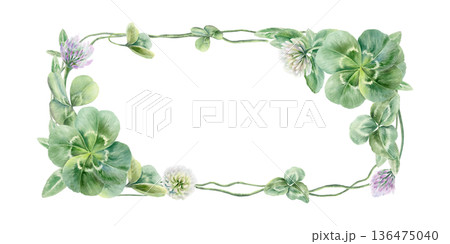 Clover leaves trefoil and four leaves,with lilac and white flowers in elegant horizontal frame.Watercolor template,symbolizing luck and new beginnings,for wedding invitations,romantic celebrations 136475040