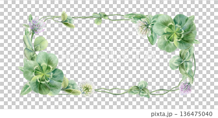 Clover leaves trefoil and four leaves,with lilac and white flowers in elegant horizontal frame.Watercolor template,symbolizing luck and new beginnings,for wedding invitations,romantic celebrations 136475040