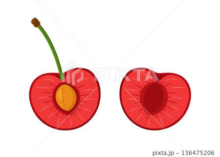 Two cherry halves one with stem and pit, and one without. Hand drawn flat style 136475206