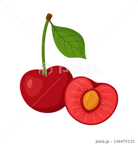 Whole red cherry and half cherry with pit and pulp. Hand drawn trendy flat style Whole red cherry and half cherry with pit and pulp. Hand drawn trendy flat style 136475215