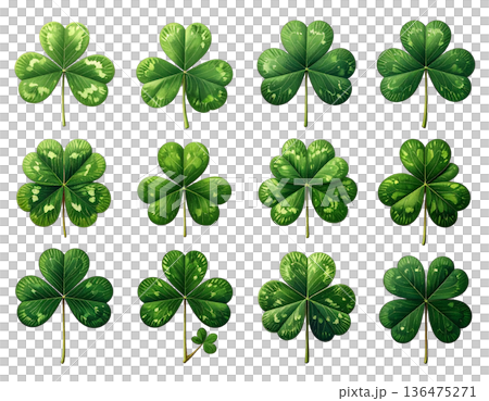一排形狀各異的綠色三葉草排列在白色背景上 136475271