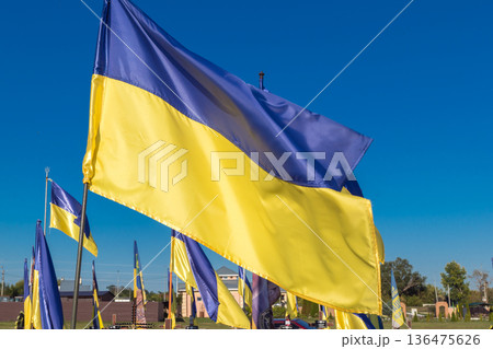 Aleya Slavy, a military cemetery located south of Kharkiv, Ukraine 136475626