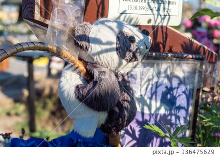 Aleya Slavy, a military cemetery located south of Kharkiv, Ukraine 136475629