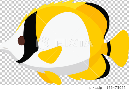 Flat style butterflyfish illustration featuring a bright yellow and black reef fish in tropical ocean waters, Flat style butterflyfish illustration featuring a bright yellow and black reef fish in tropical ocean waters, 136475923