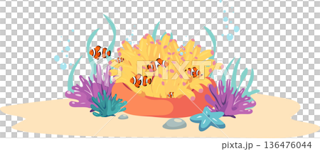 Underwater Ocean Coral Reef with Clownfish and Colorful Marine Life Underwater Ocean Coral Reef with Clownfish and Colorful Marine Life 136476044