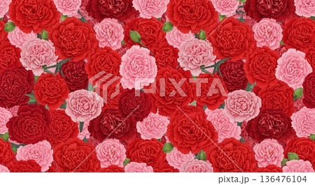 赤とピンクのカーネーションが並ぶ花背景素材 136476104
