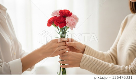 カーネーションを手渡す母と子の母の日シーン カーネーションを手渡す母と子の母の日シーン 136476331