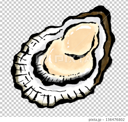 Japanese-style illustration of fresh oysters Japanese-style illustration of fresh oysters 136476802