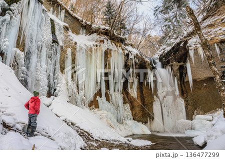 北海道・七条大滝の氷瀑を見上げる冬の風景 136477299