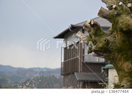山と山と川 山と山と川 136477484
