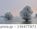 Winter Sunrise and Danube river 136477873