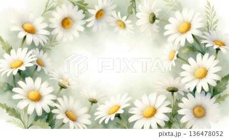 デイジーのボタニカルイラスト背景 136478052