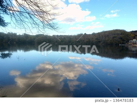 厳冬の一碧湖の冬景色 136478183
