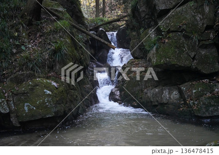 河鹿沢の雌滝 茨城県常陸太田市 河鹿沢の雌滝 茨城県常陸太田市 136478415
