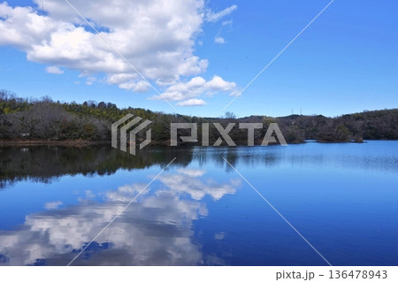 厳冬の一碧湖の冬景色 厳冬の一碧湖の冬景色 136478943