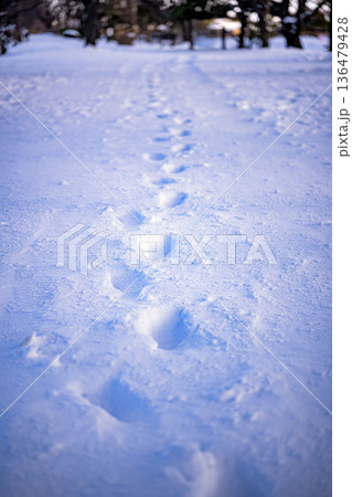 雪道に残る足跡:新雪を踏みしめて進む冬の風景 雪道に残る足跡:新雪を踏みしめて進む冬の風景 136479428