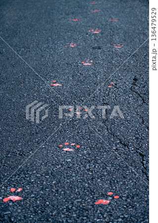 アスファルト書かれた動物の足跡 136479529