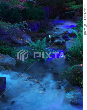 秋の名古屋白鳥庭園　ブルーライトに照らされた渓谷の景 136479557