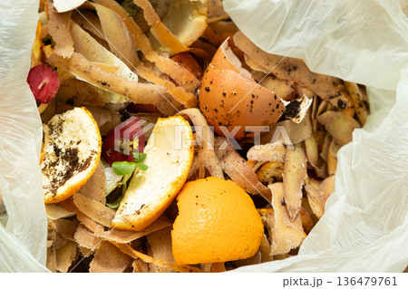 Organic Bio Waste in Garbage Bag for Compost and Recycling Organic Bio Waste in Garbage Bag for Compost and Recycling 136479761